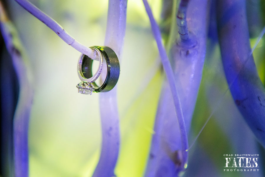 Faces Photography Utah Wedding Farnes