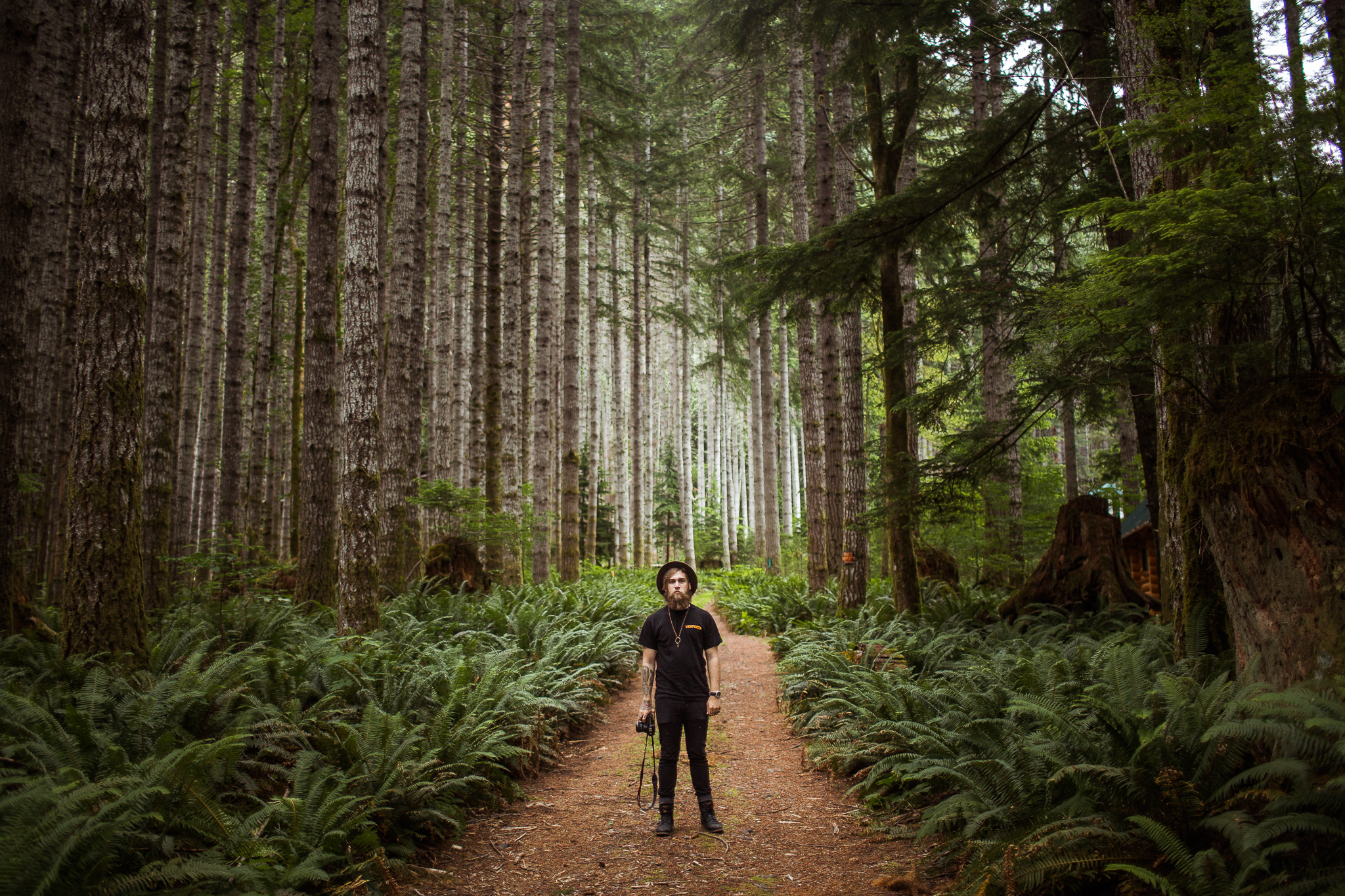 Washington Olympia State Park Photographer