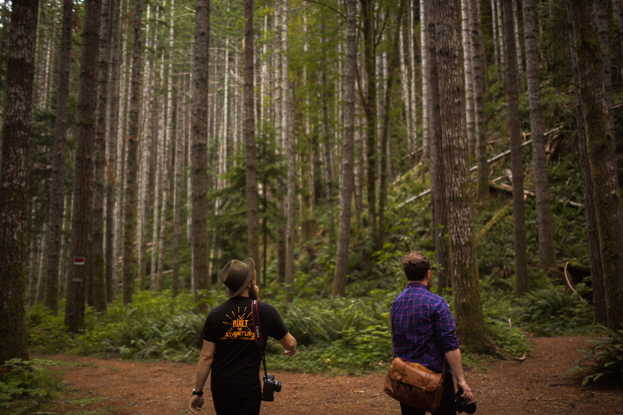 Washington Olympia State Park Photographer