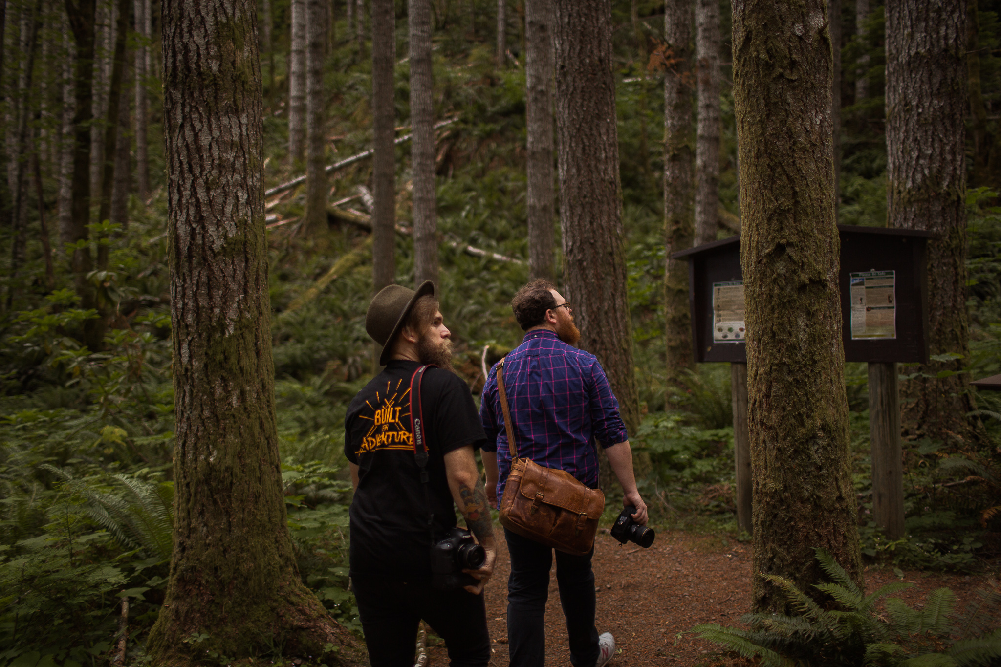 Washington Olympia State Park Photographer