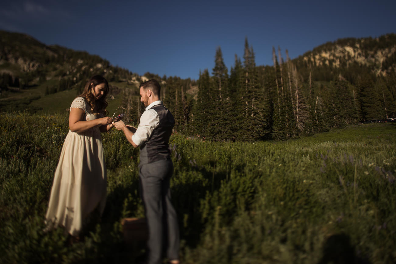 Albion Basin Wedding Elopement