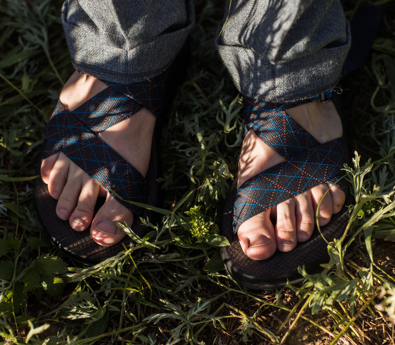 Albion Basin Wedding Elopement