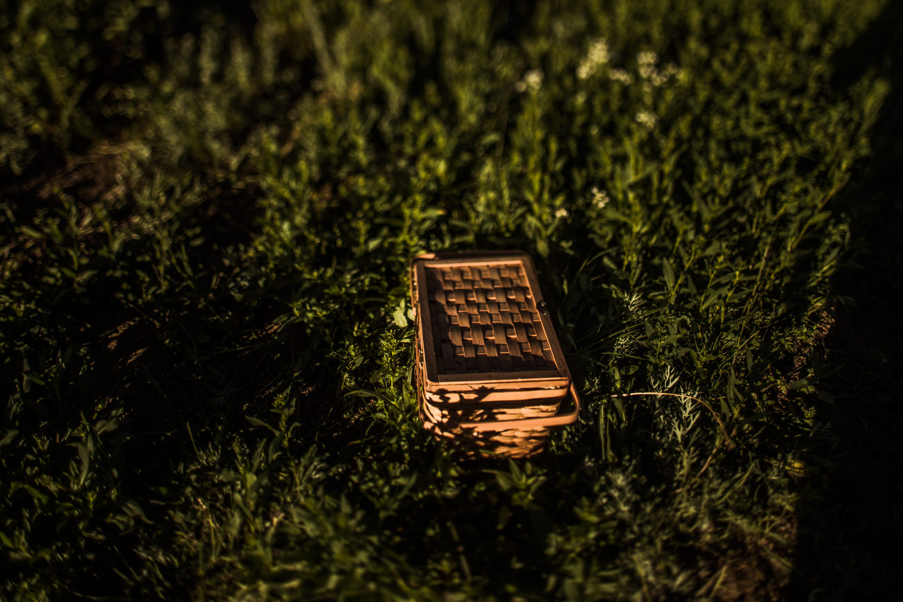 Albion Basin Wedding Elopement