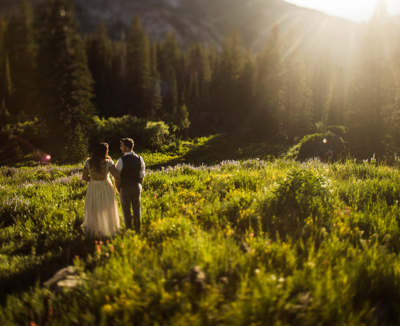 Albion Basin Wedding Elopement