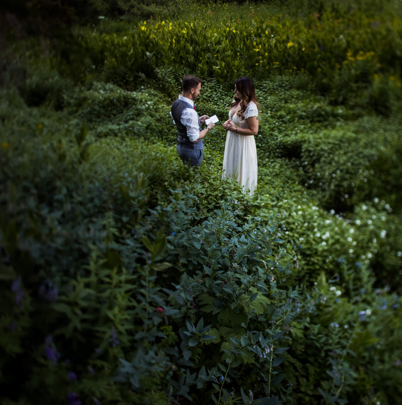 Albion Basin Wedding Elopement