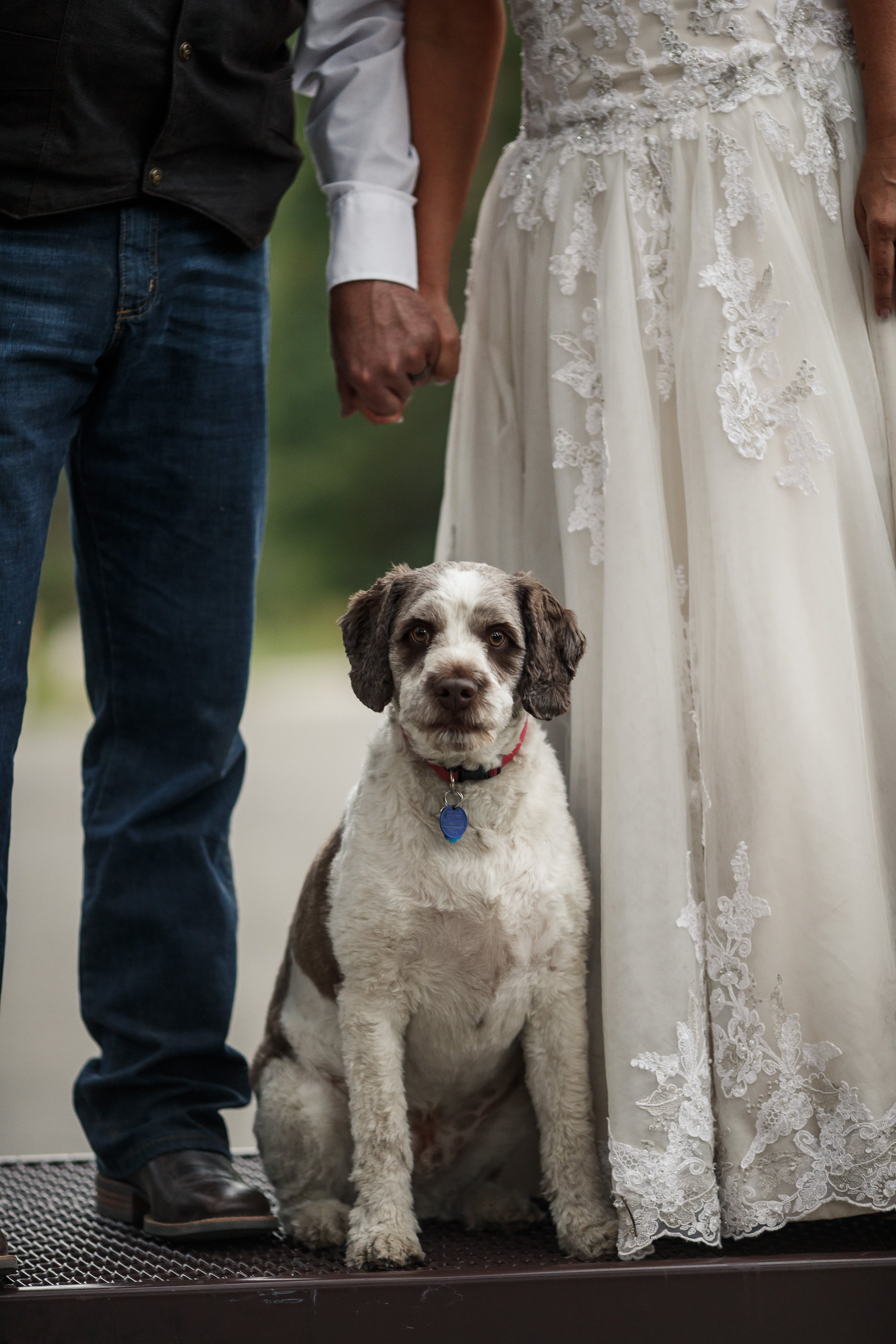 Campground Wedding