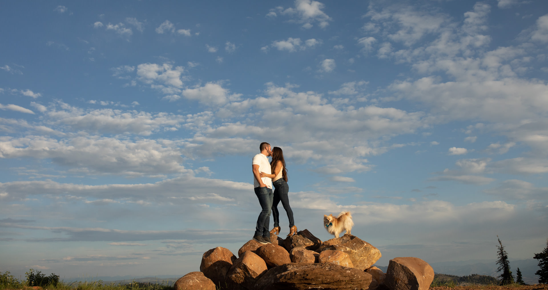 Dog Portraits Engagements Weddings Snow Basin Faces Photography