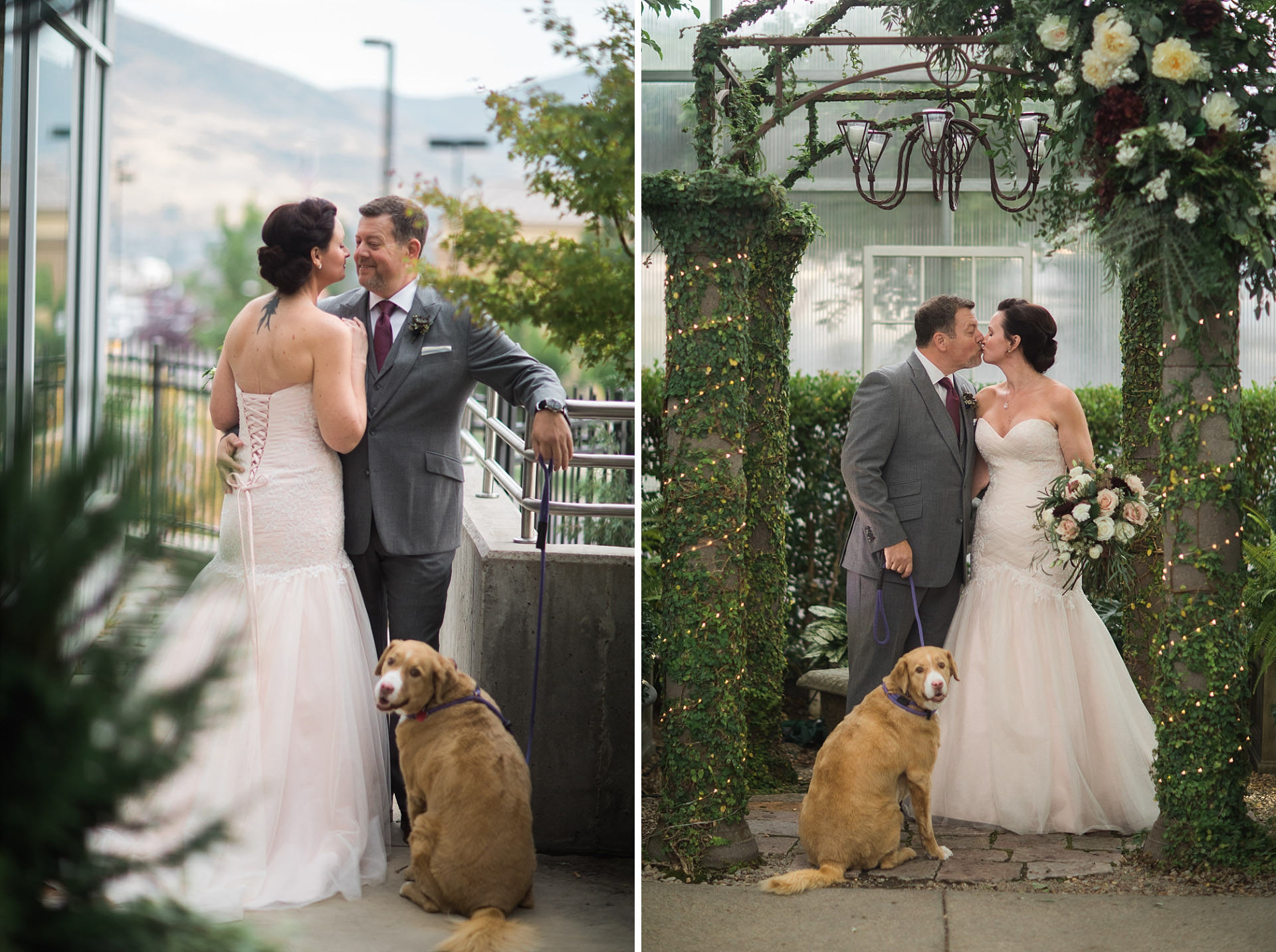 Wedding Dogs Cactus and Tropicals Faces Photography