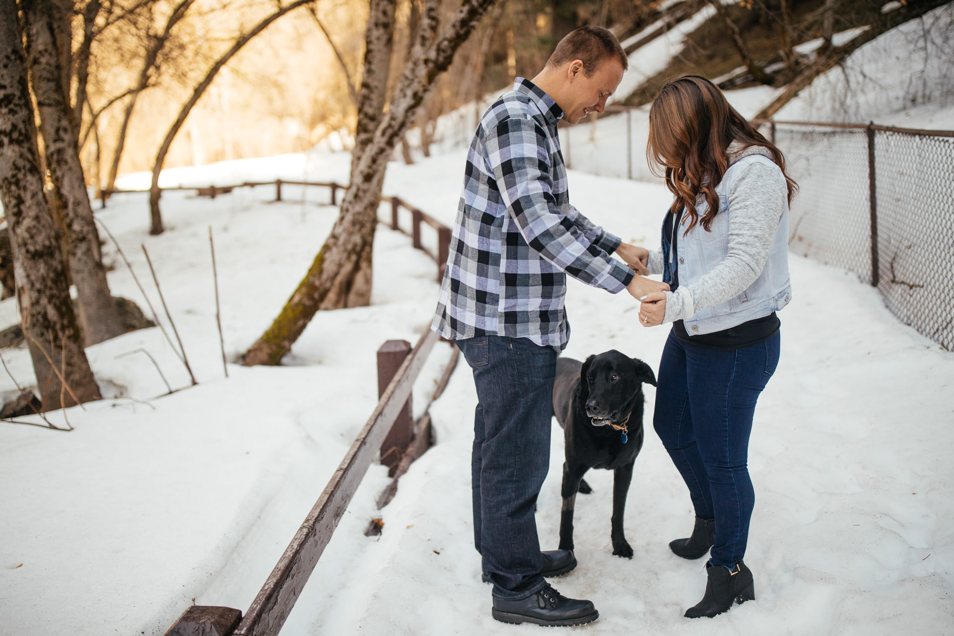 Wedding Dog Engagement Photos Faces Photography