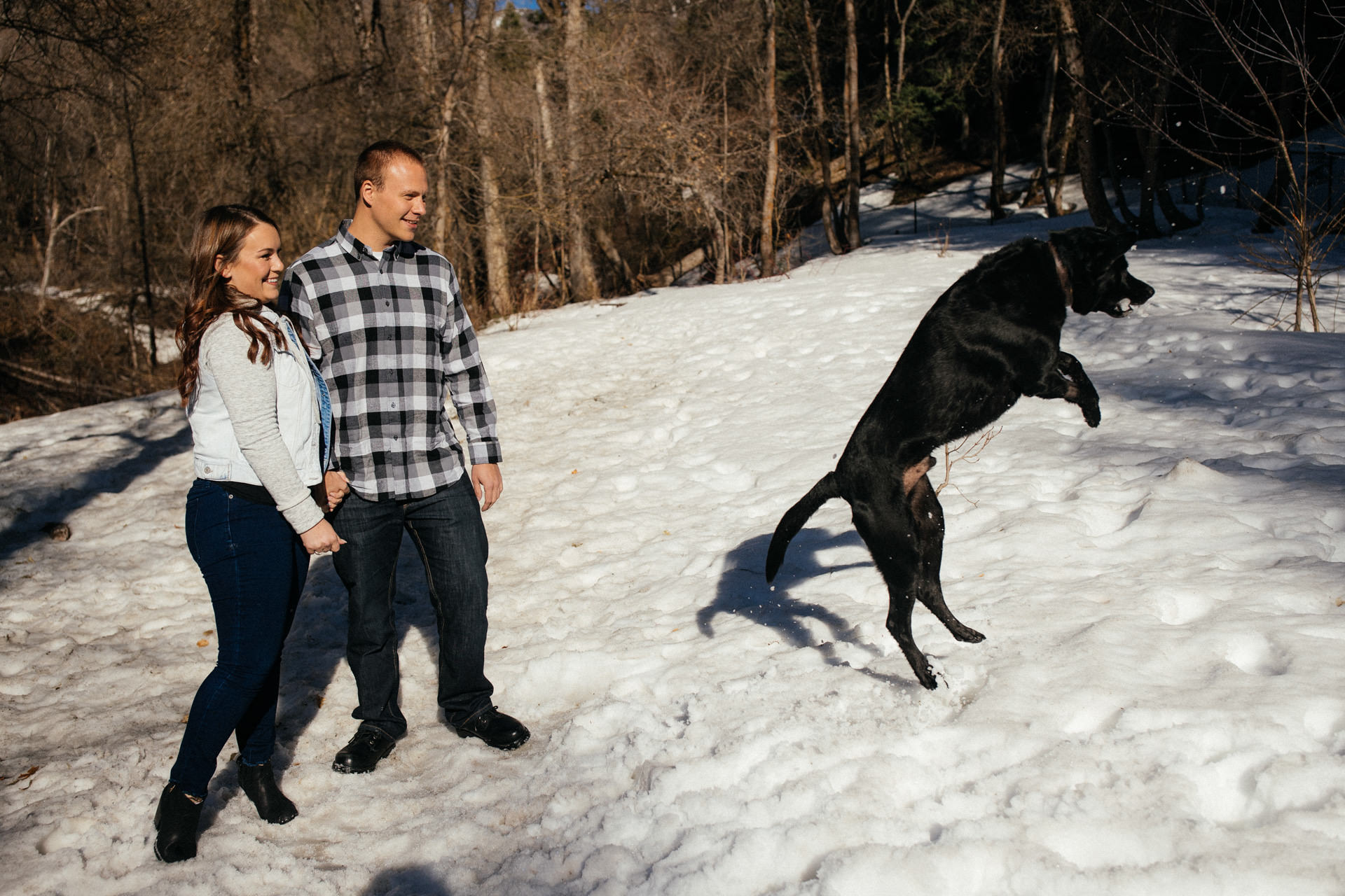 Wedding Dog Engagement Photos Faces Photography