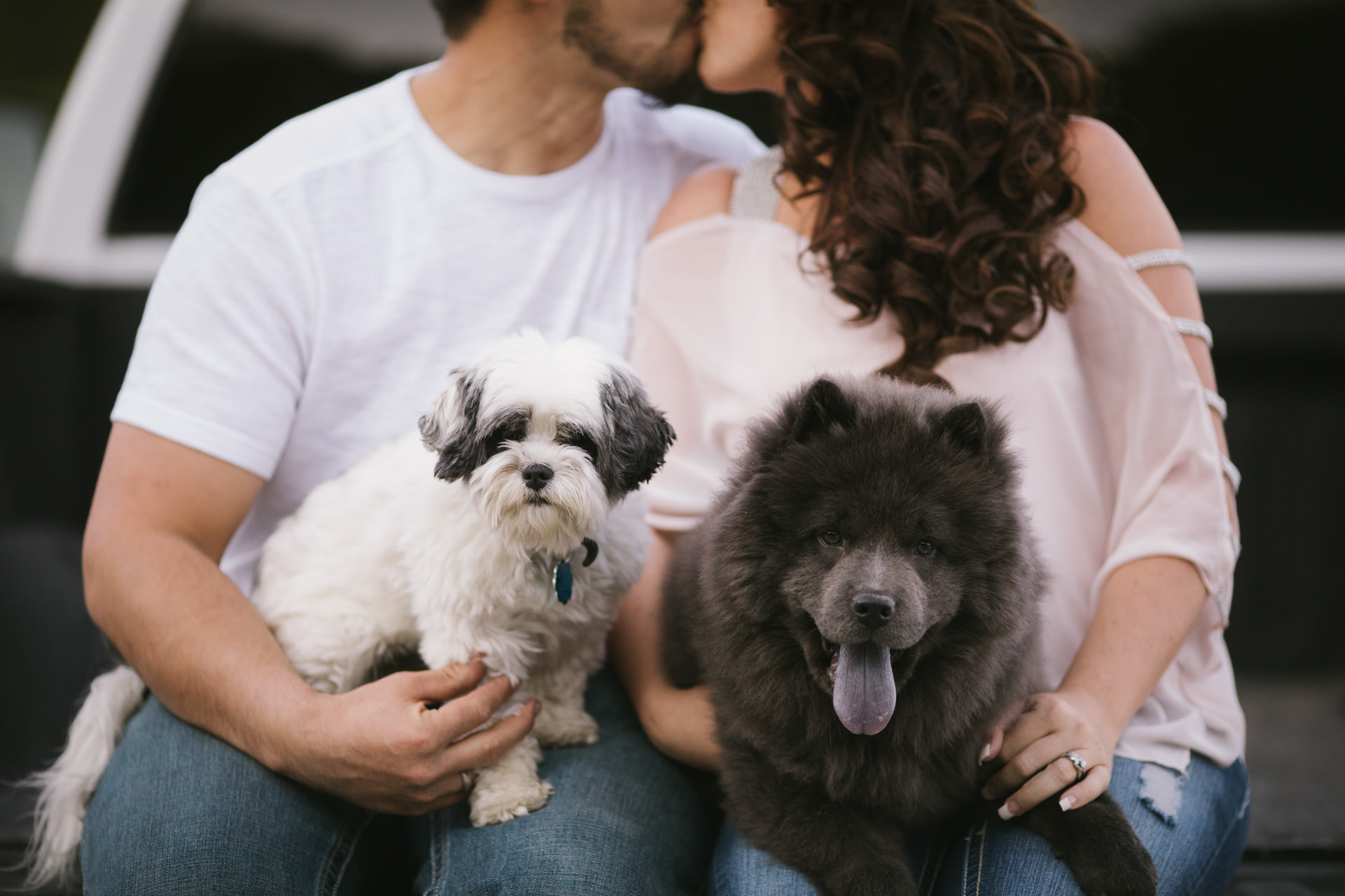 Dog Portraits Weddings Engagements Faces Photography