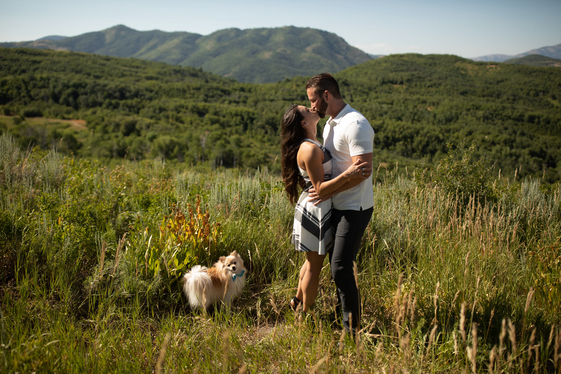 Dog Portraits Engagements Weddings Snow Basin Faces Photography