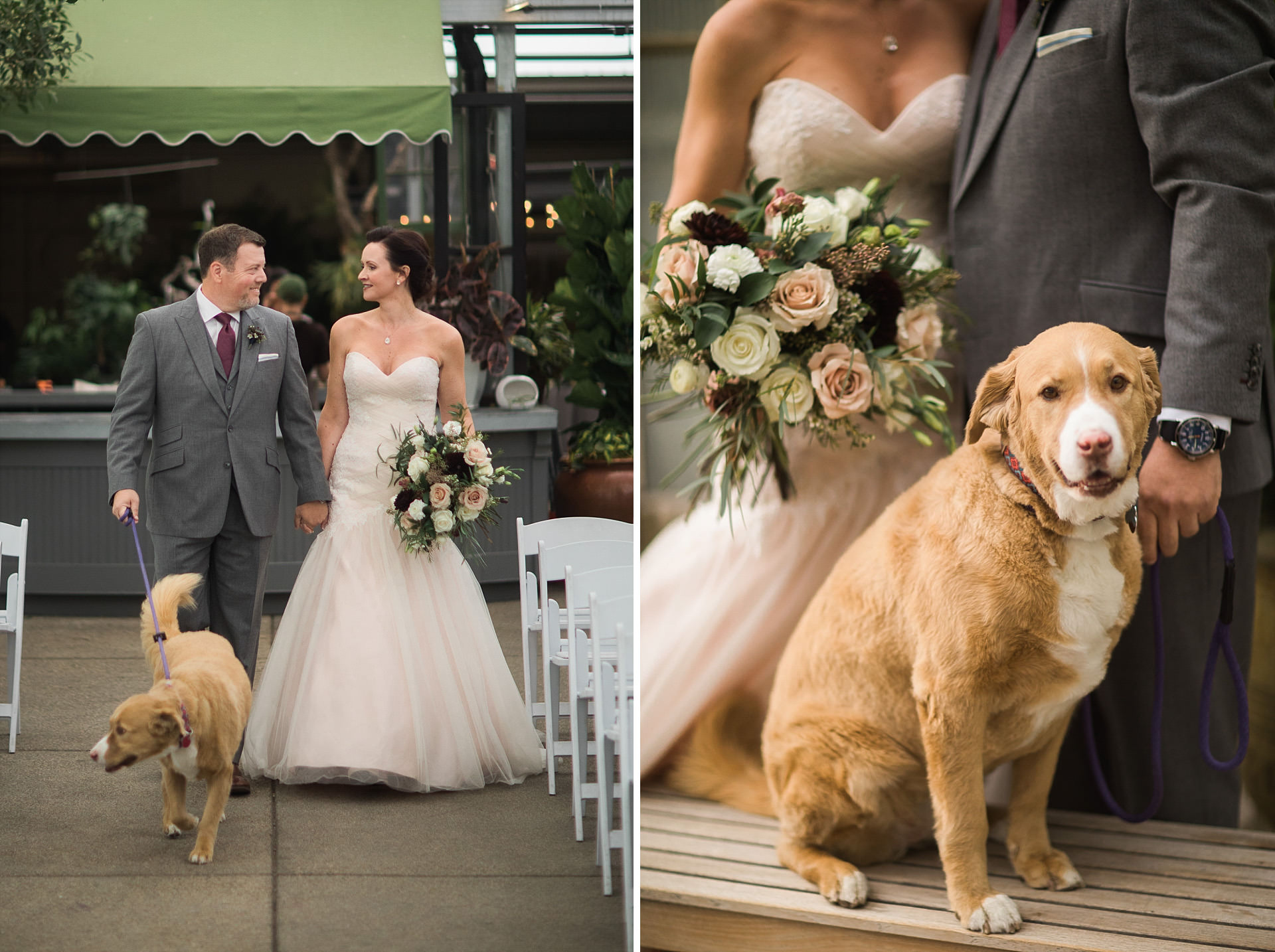 Wedding Dogs Cactus and Tropicals Faces Photography