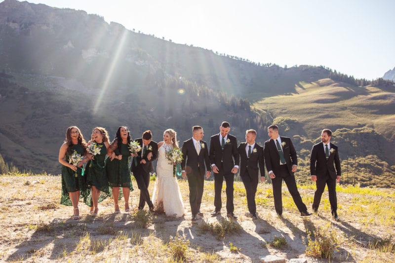 Wedding Party in Albion Basin