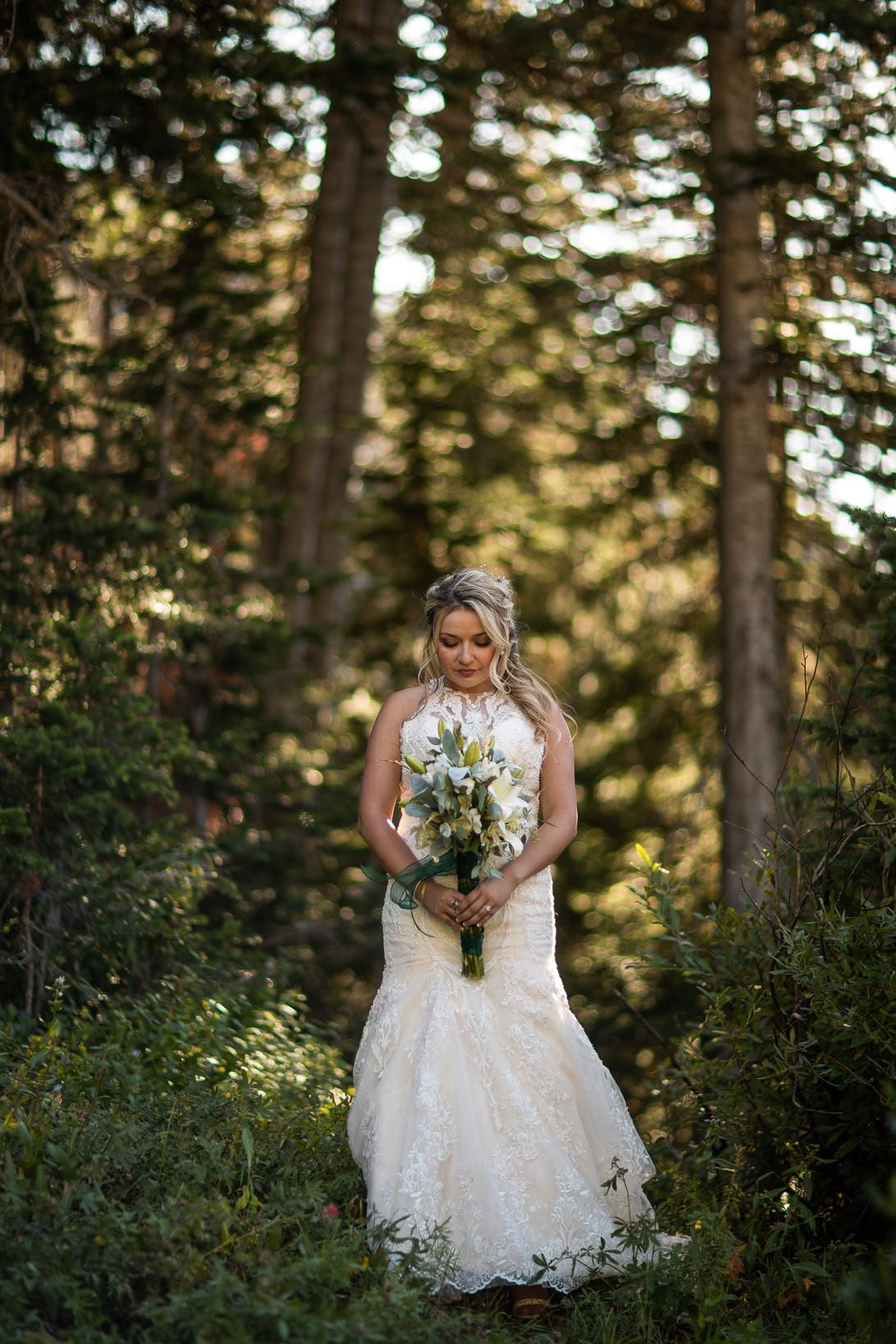 Bridal Portraits in Albion Basin Utah