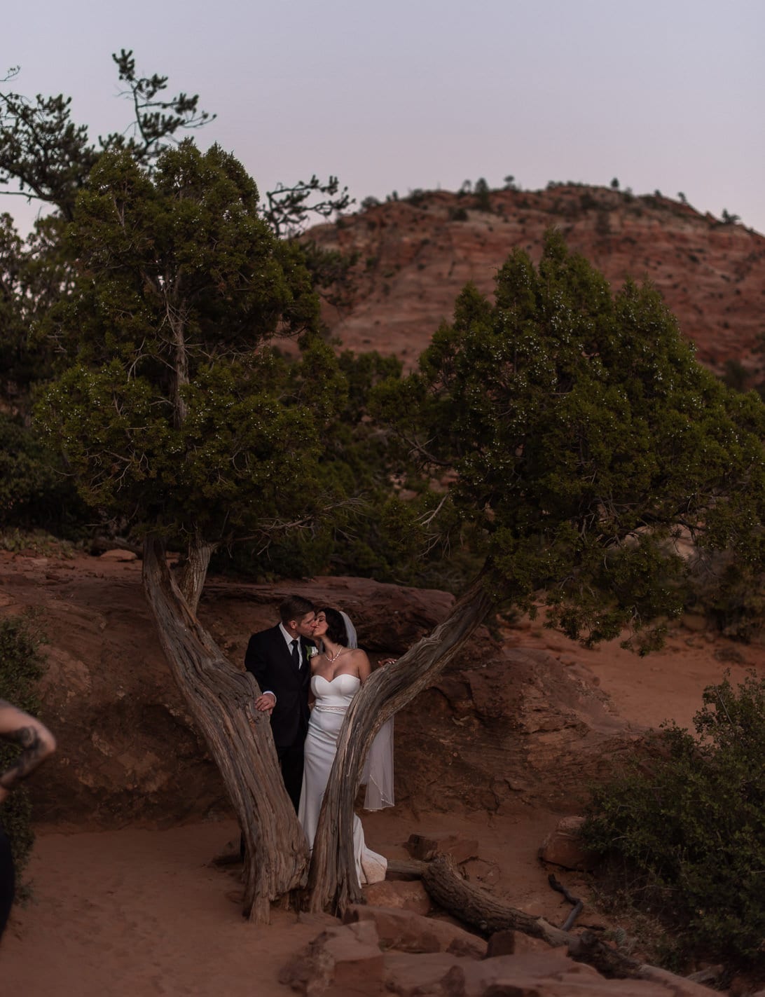 Zion National Park Wedding Photos
