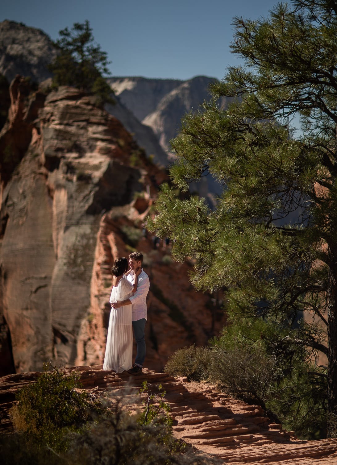 Wedding Portraits on Angels Landing