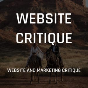 WebsiteCritique
