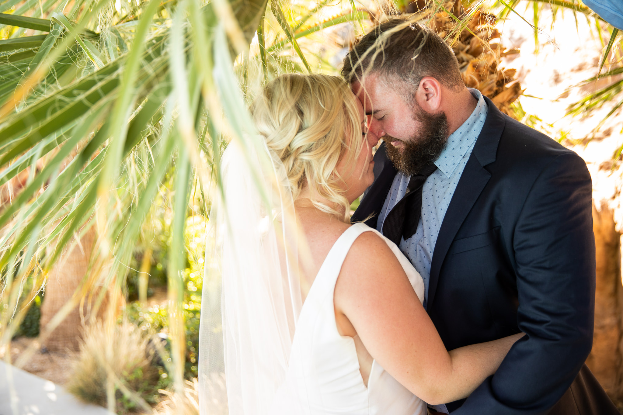 Bride and Groom Wedding Portraits