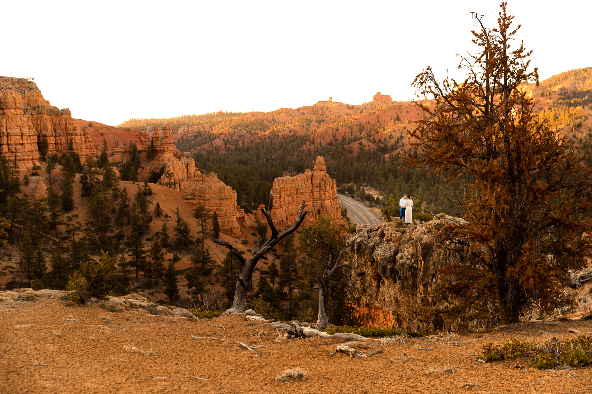 Bryce Canyon Elopement Portraits