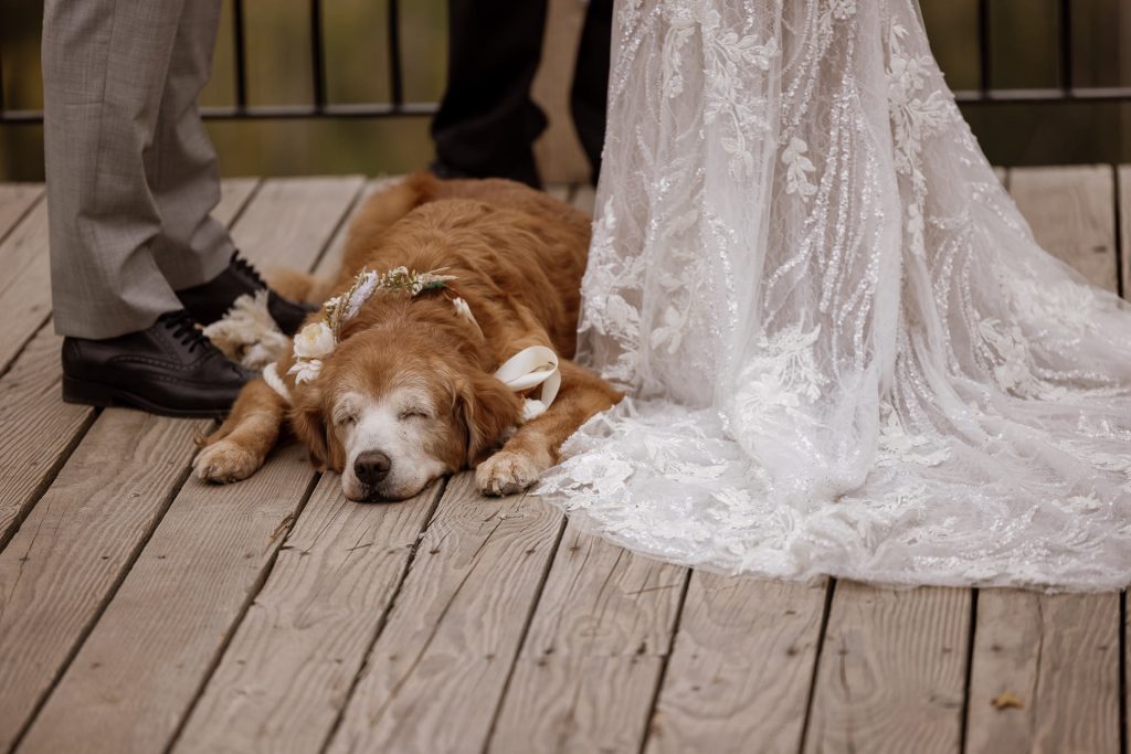 Beautiful Lookout Cabin Fall Wedding